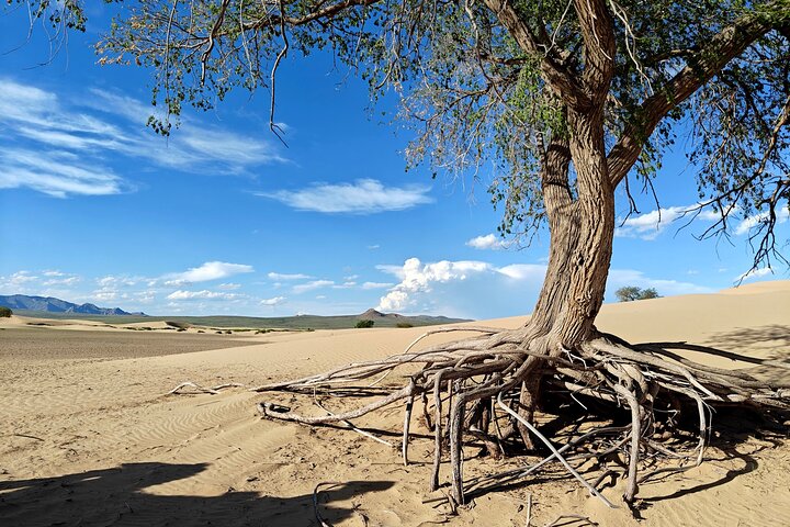 The best of Central Mongolia Guided 3 day Adventure