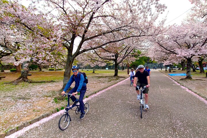Tokushima & Mt. Bizan BROMPTON Slow Cycling Tour