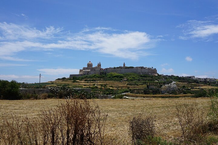 Private Malta Top Sights & Temples Tour