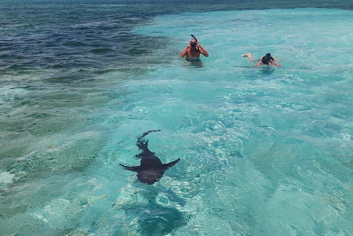Let's snorkel Hol Chan the Best Marine Reserve in Belize