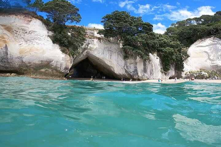 Cathedral Cove & Hot Water Beach Small-Group Tour with Lunch