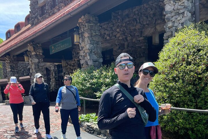 Guided Asheville E-bike Tour of River Arts, Mountains and Murals