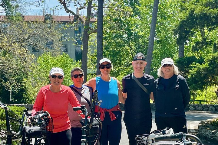 Guided Asheville E-bike Tour of River Arts, Mountains and Murals