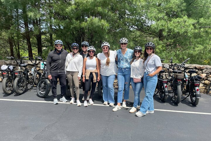 Guided Asheville E-bike Tour of River Arts, Mountains and Murals