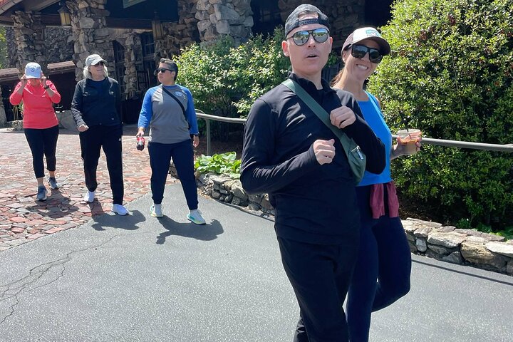 Guided Asheville E-bike Tour of River Arts, Mountains and Murals