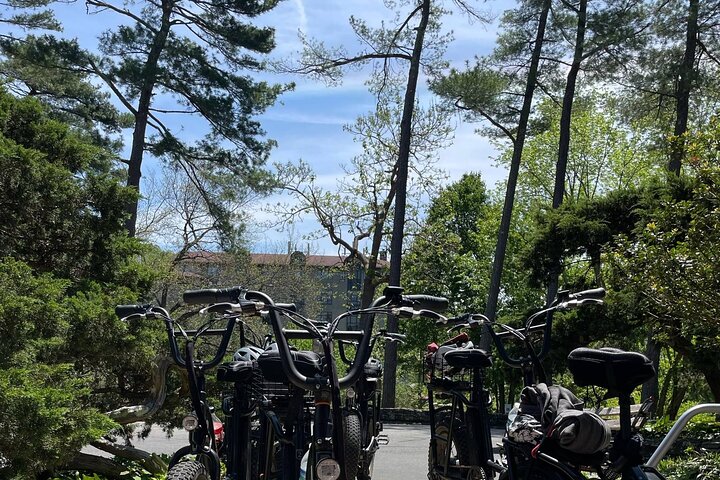 Guided Asheville E-bike Tour of River Arts, Mountains and Murals