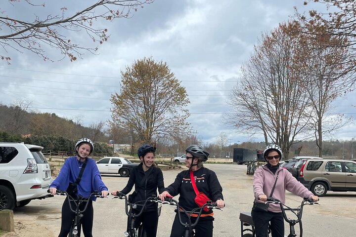 Guided Asheville E-bike Tour of River Arts, Mountains and Murals