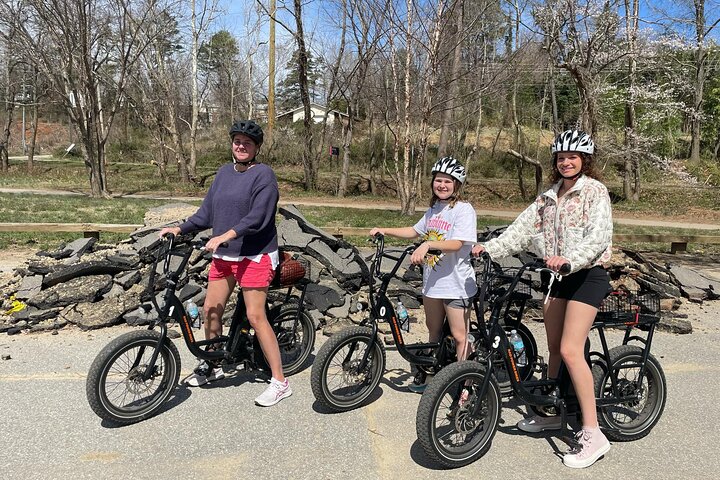 Guided Asheville E-bike Tour of River Arts, Mountains and Murals