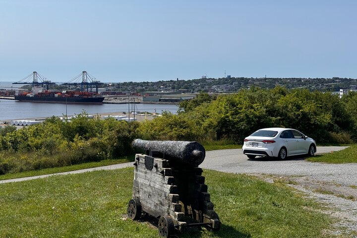 Bay of Fundy Tour Saint John NB