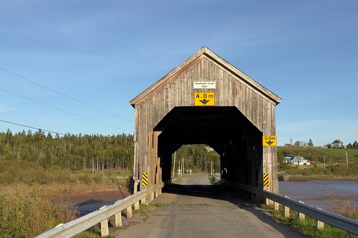 Bay of Fundy Tour Saint John NB
