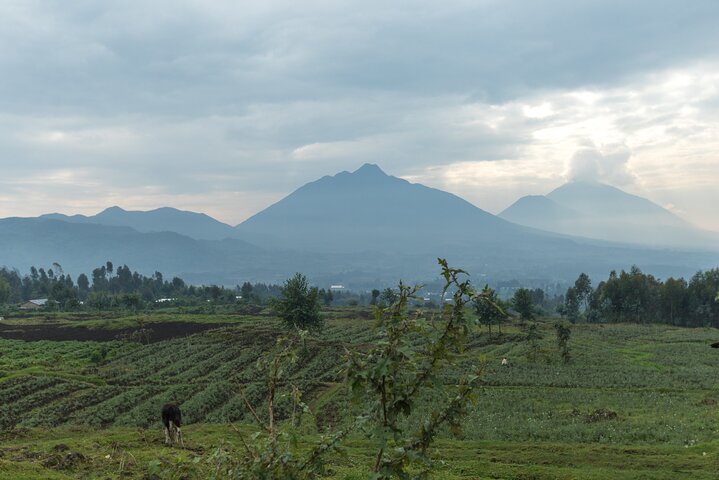 1 Day Dian Fossey Tomb Hike