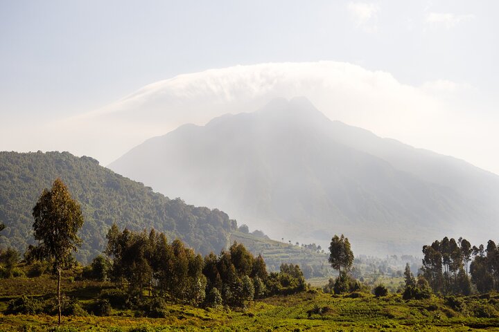 1 Day Dian Fossey Tomb Hike