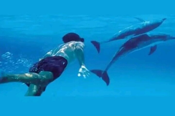 Mnemba Island Dolphins Watching and Snorkeling