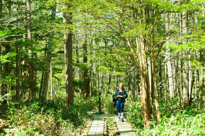 Kamikochi & Matsumoto Castle: A Perfect Nature & Heritage Day