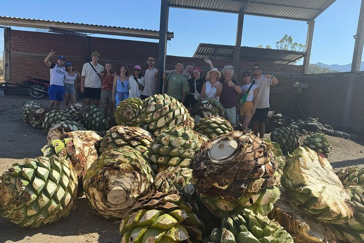 Hierve el Agua, Tule Tree, Mitla and Mezcal Distillery Tour