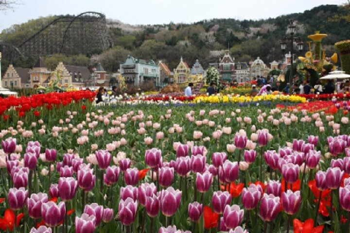 South Korea Everland Theme Park Ticket