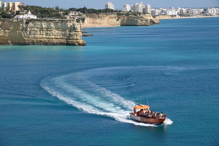 Dolphin Watching and Caves Cruise