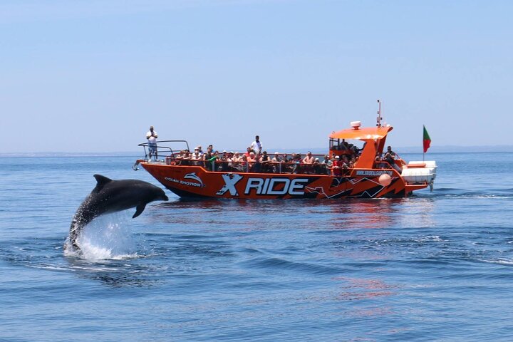 Dolphin Watching and Caves Cruise