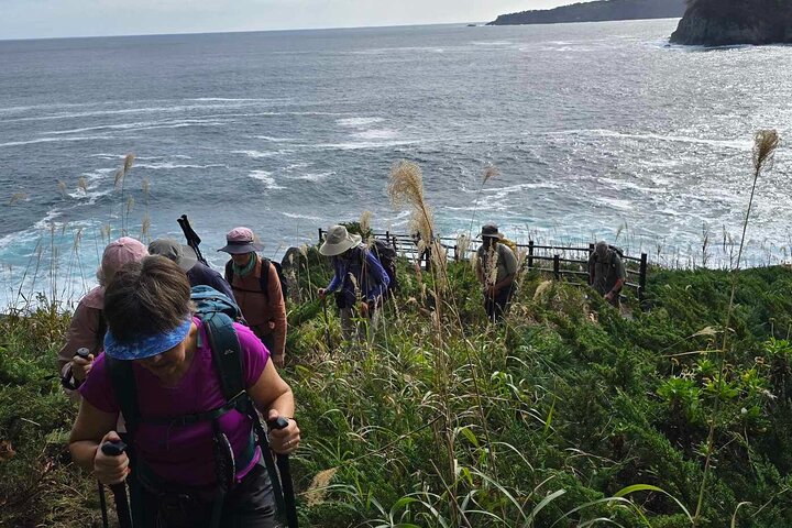 Michinoku Coastal Trail & Sea Kayak in Jodogahama