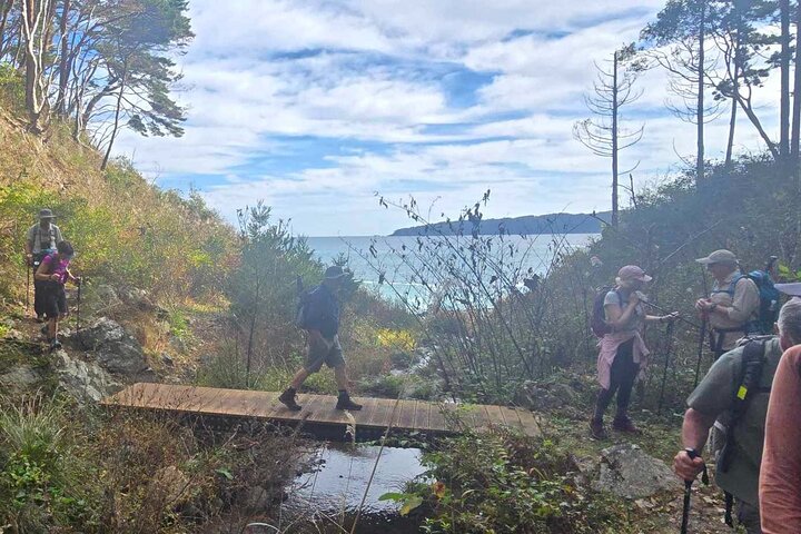 Michinoku Coastal Trail & Sea Kayak in Jodogahama