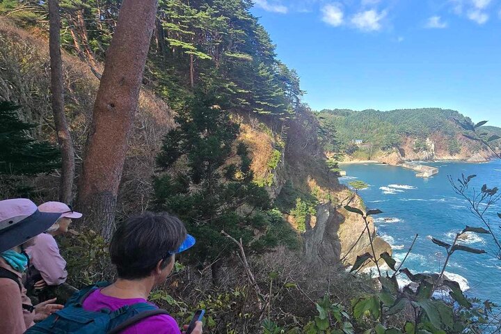 Michinoku Coastal Trail & Sea Kayak in Jodogahama
