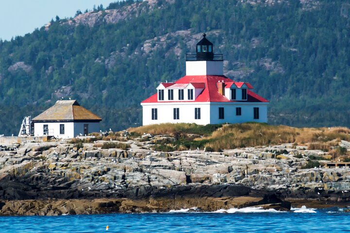 “Classic Acadia” Private Tour: Cadillac Mountain & Thunder Hole