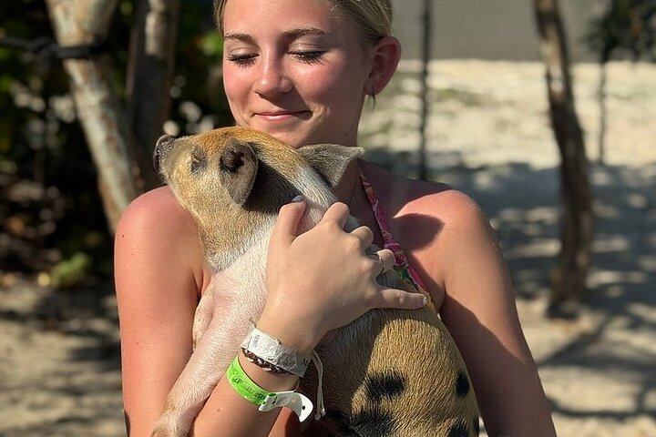 Swim with the Pigs Freeport @Creative Eco Adventures