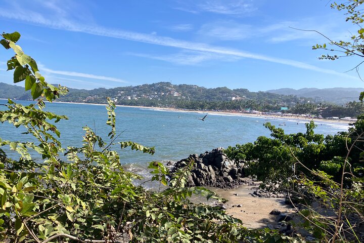 Biocultural Hiking Experience in Sayulita