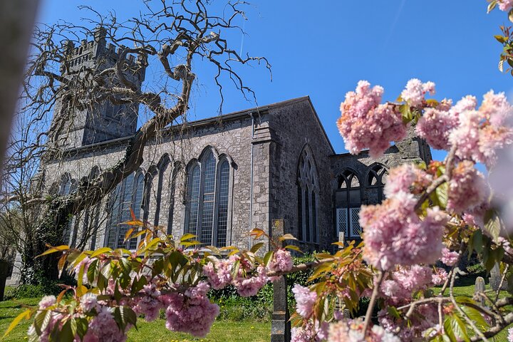 Medieval Kilkenny Walking Tour: Best of the City in 2 Hours