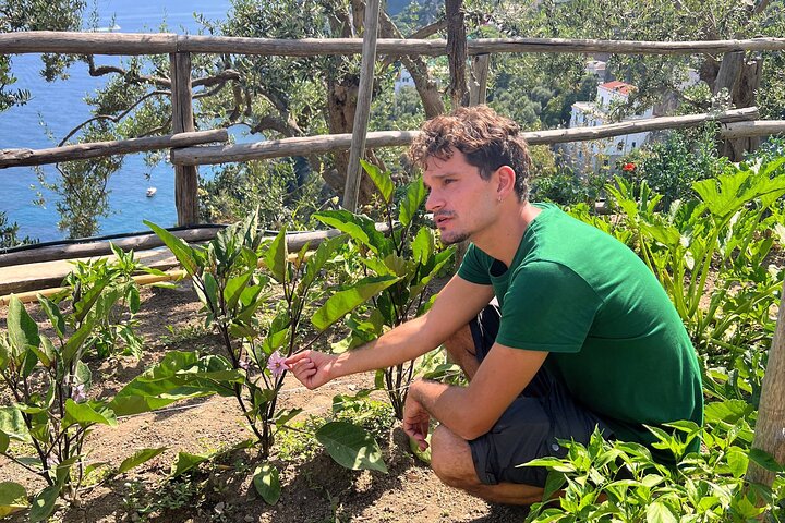 Hands-On Cooking Class & Farmhouse Tour on the Amalfi Coast