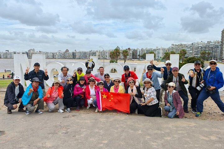 Montevideo Highlights: Shared City Tour for Cruise Passengers