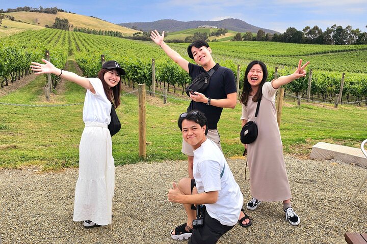 Yarra Valley Half-Day Winery Tour from Melbourne with Small Group