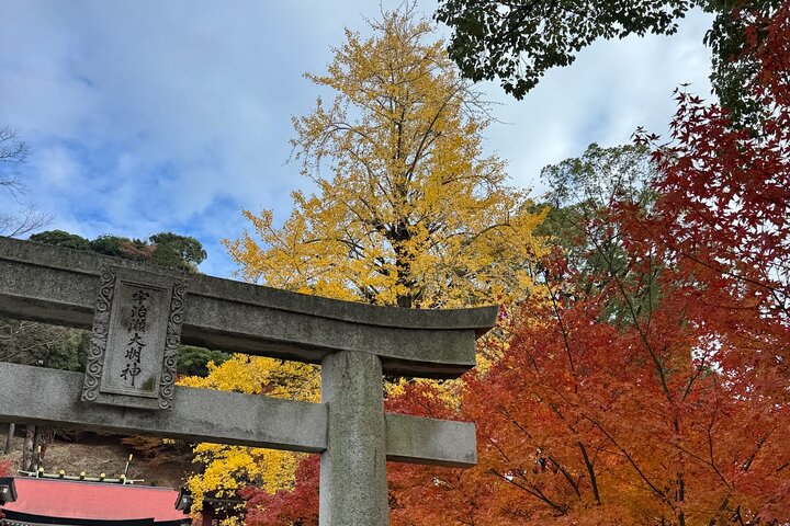 Private Kagoshima: Gardens, Shrines & Observatory by Expert Guide