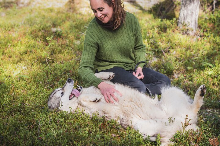 Hiking with a Husky