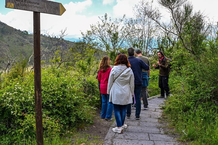 Pompeii & Mt. Vesuvius Elite Tour & Lunch From Naples