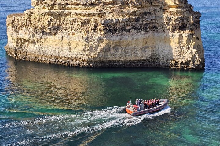 Albufeira: Dolphins and Caves Tour