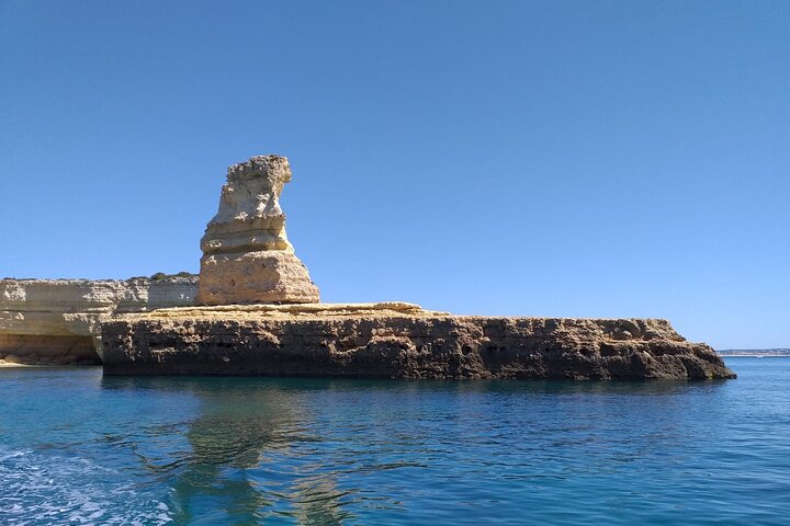 Albufeira: Dolphins and Caves Tour