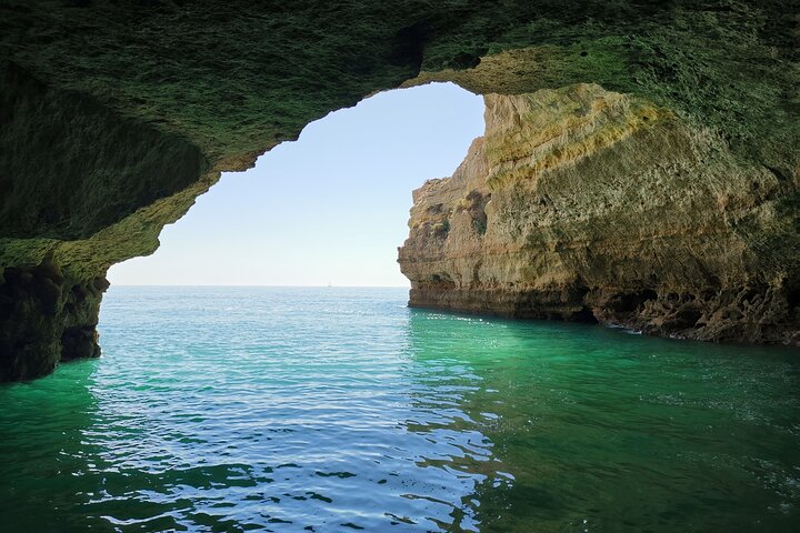 Albufeira: Dolphins and Caves Tour