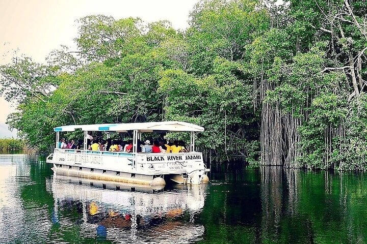 YS Falls and Black River Safari South Coast from Negril Jamaica