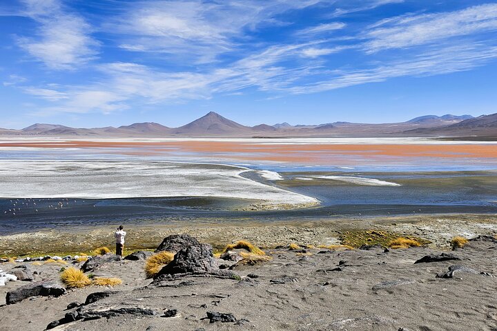 3-Day Salt Flats, Lagoons and Geysers from Uyuni to San Pedro