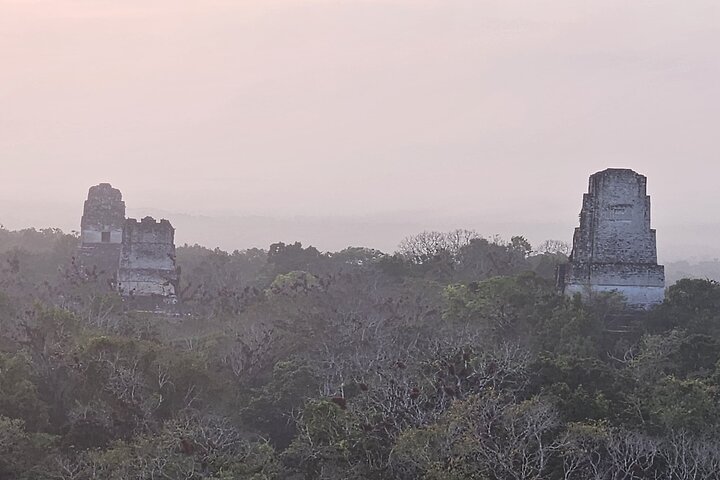 Private Tour with VIP Service Tikal Guatemala