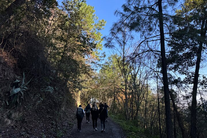 Chipinque Natural Park - Morning / Afternoon Hike (Group/Private)