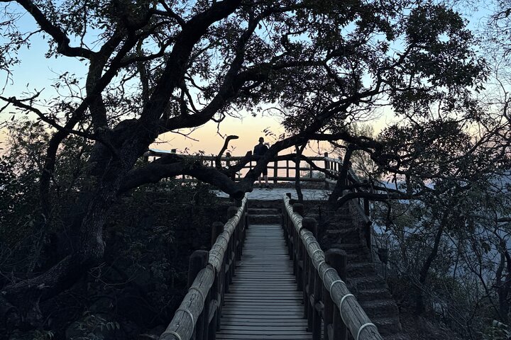 Chipinque Natural Park - Morning / Afternoon Hike (Group/Private)