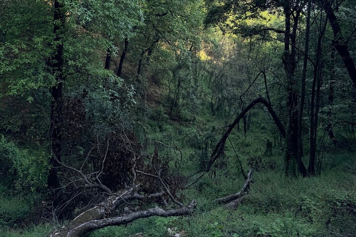 Chipinque Natural Park - Morning / Afternoon Hike (Group/Private)