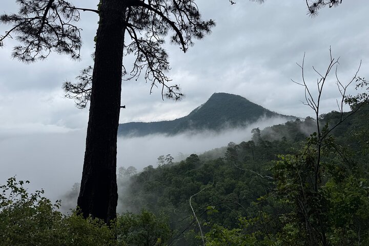 Chipinque Natural Park - Morning / Afternoon Hike (Group/Private)