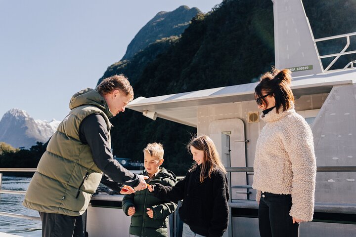 2-Hour Milford Sound Scenic Cruise