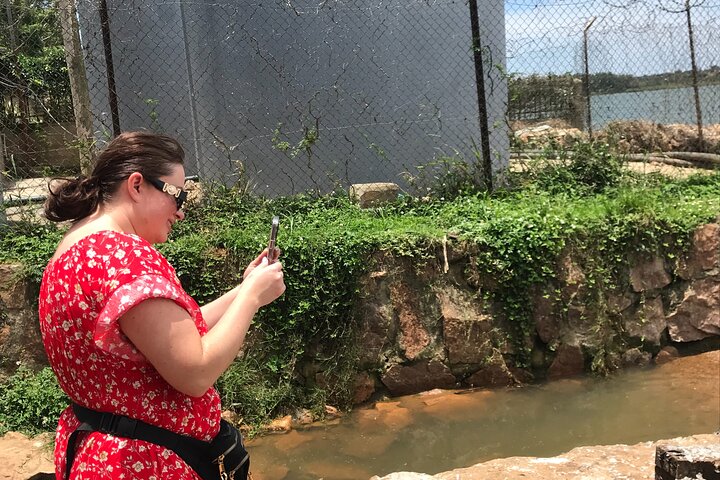 Ngamba Island Chimpanzee Experience, Entebbe and Victoria Tour