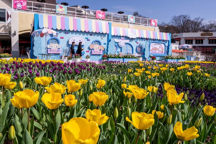 South Korea Everland Theme Park Ticket