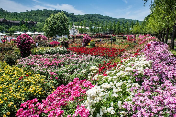 South Korea Everland Theme Park Ticket