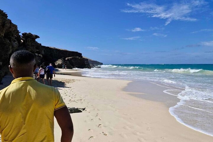 Boa Vista 4x4: Sharks, Turtles, Caves, Sandboard & Tasting tour